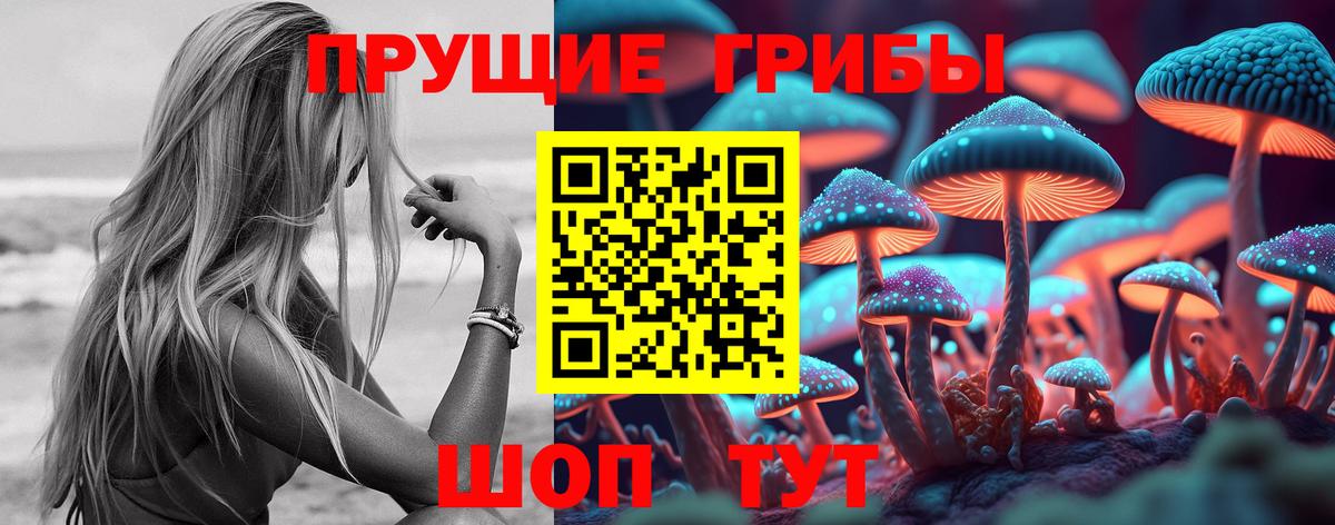 Галлюциногенные грибы Psilocybine cubensis Сыктывкар